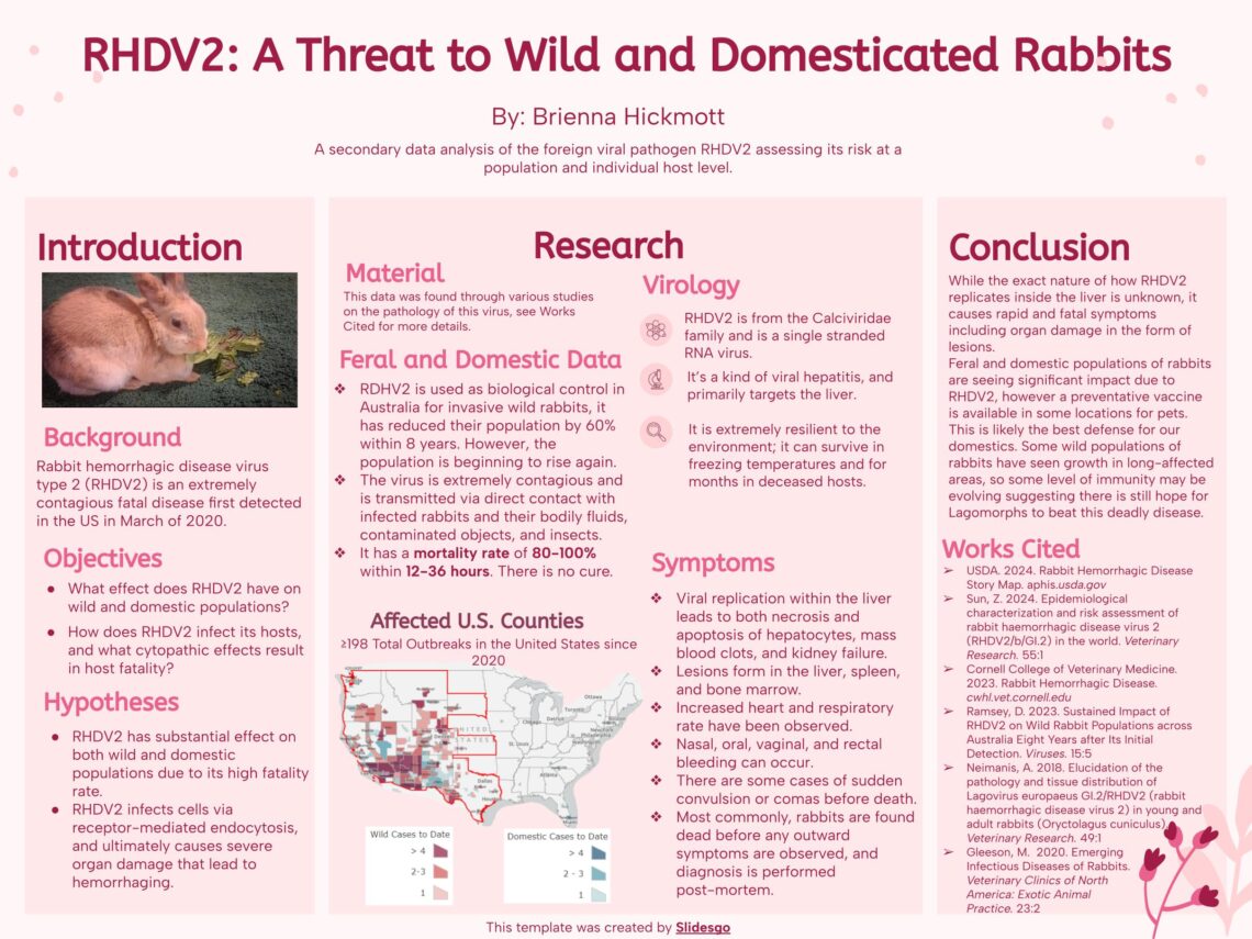 RHDV2 A Threat to Wild and Domesticated Rabbits